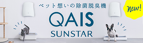 QAIS｜SUNSTAR